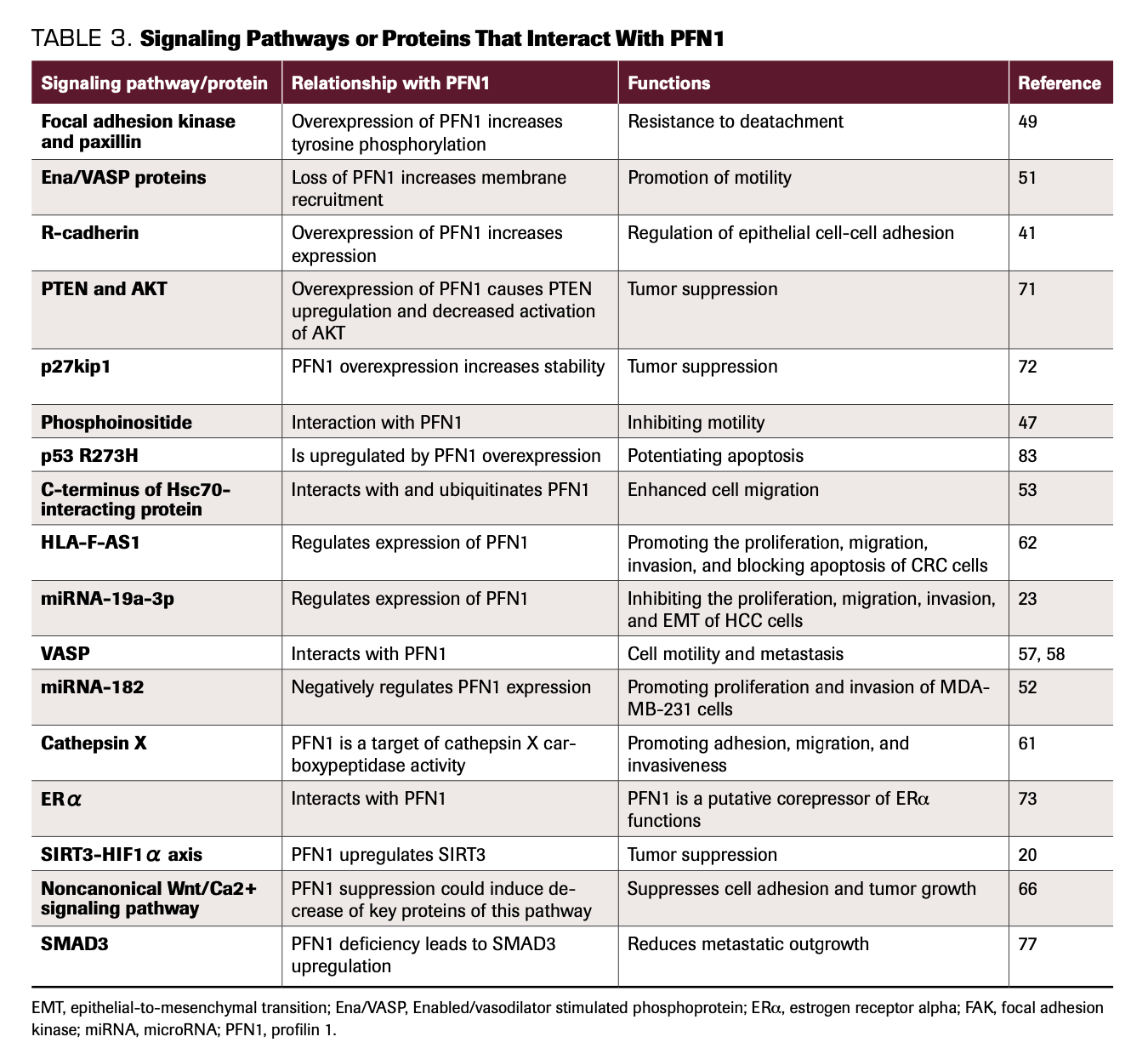 Profilin 1 Protein and Its Implications for Cancers | CancerNetwork